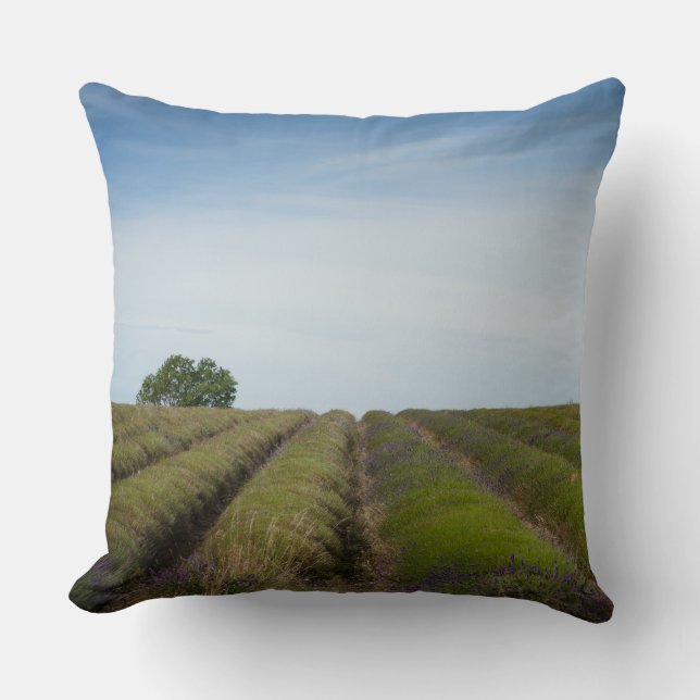 Filas de la lavanda después de la almohada de tiro (Anverso)