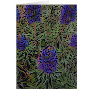 Filas de Lavender