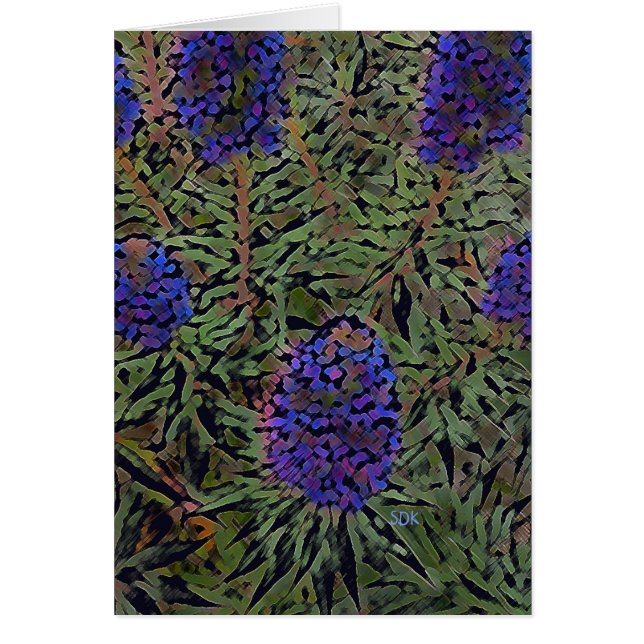 Filas de Lavender (Frente)