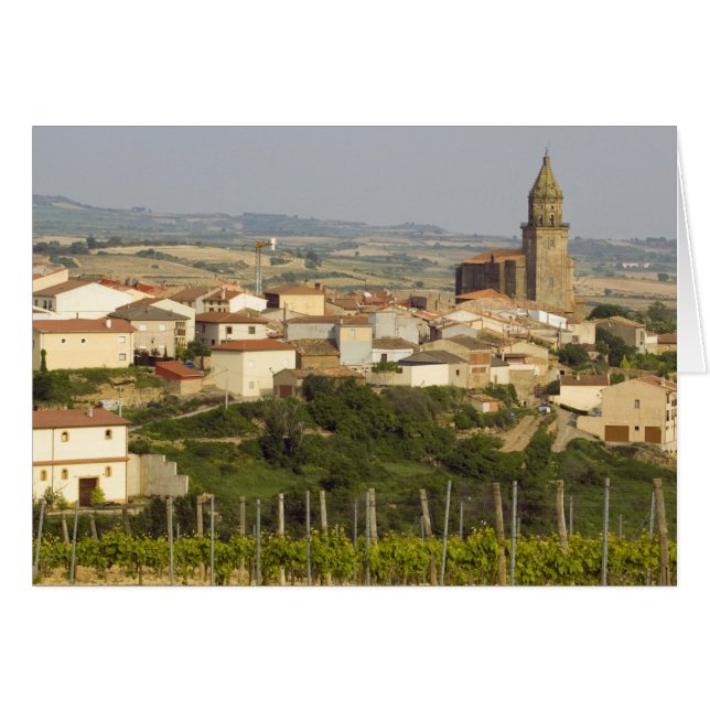 Filas de vid de uva en el marco de primer plano (Anverso (Horizontal))