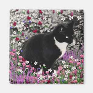 Filas en imán de flores II - Gato de Tuxedo