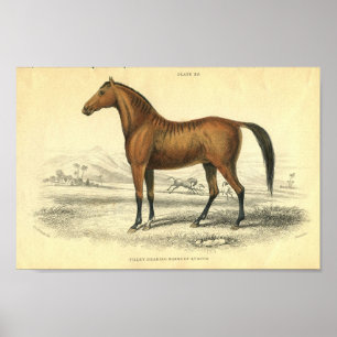 Filete de impresión de caballos de época