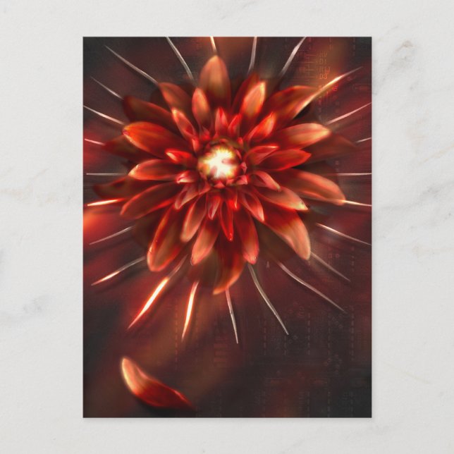 Fin de las flores - postal (Anverso)