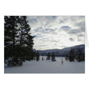 Fin de un día de nieve en el Parque Nacional Yello