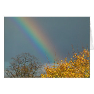Fin del arcoiris