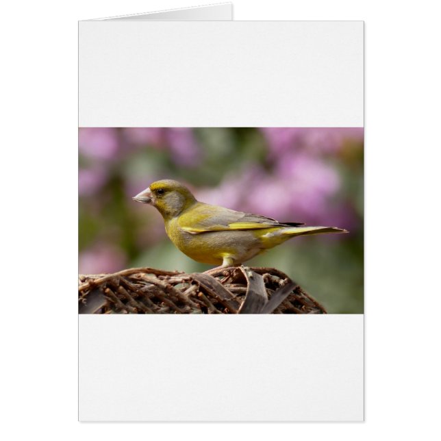 Finca verde (Frente)