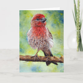 Finch, tarjeta de saludo