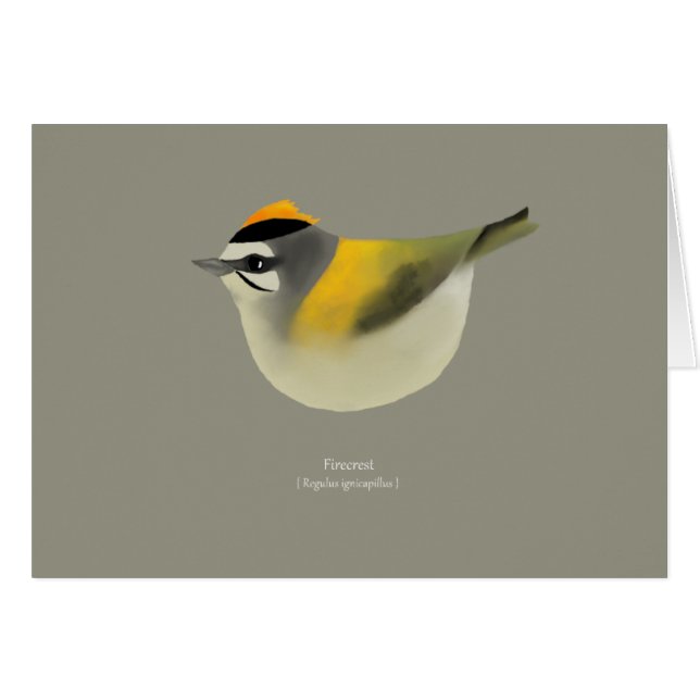 Firecrest (Anverso (Horizontal))