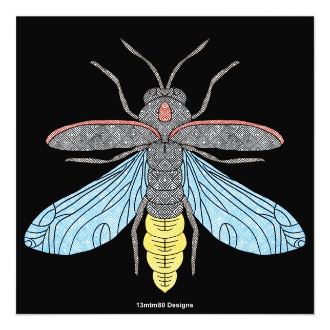 Firefly (negro) - Impresión fotográfica (Frente)