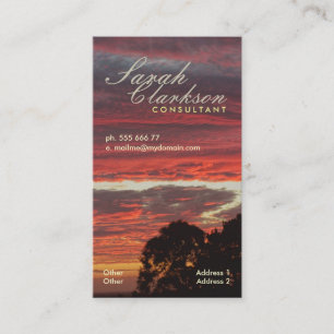 Firey acoda la tarjeta de visita vertical de Skys