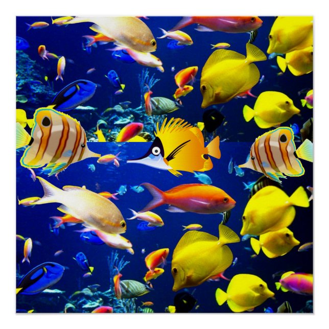 Fish Poster Beach House Posters (Anverso)