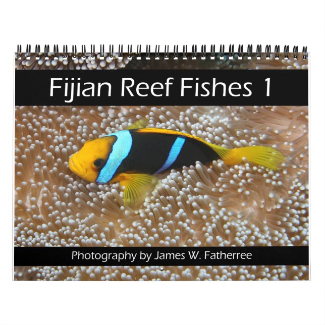 Fiyi Reef Peces Calendario 1 (Tapa)
