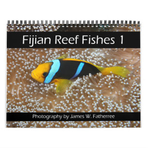 Fiyi Reef Peces Calendario 1