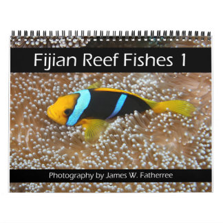 Fiyi Reef Peces Calendario 1