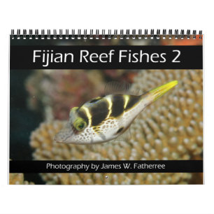 Fiyi Reef Peces Calendario 2