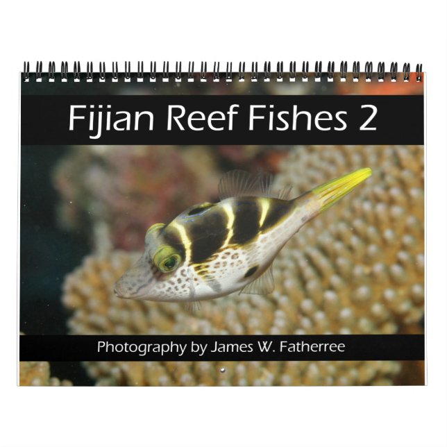 Fiyi Reef Peces Calendario 2 (Tapa)