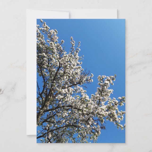 Flagrante tarjeta en blanco de fotos de primavera  (Anverso)