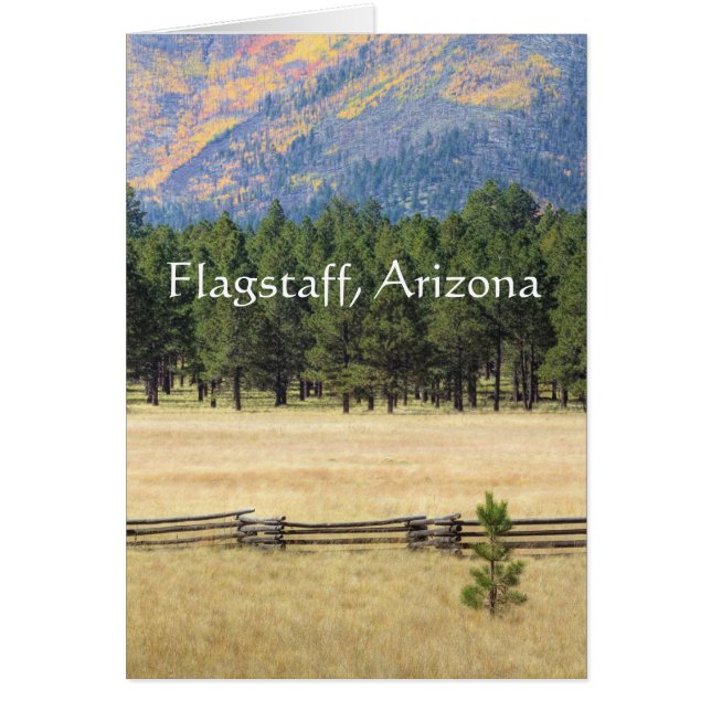 Flagstaff, un campo colorido de Arizona (Frente)