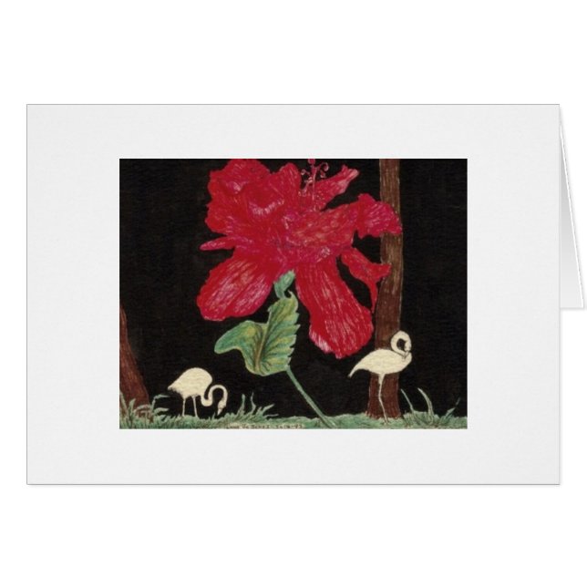 flamenco blanco e hibisco (Anverso (Horizontal))