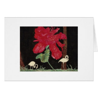 flamenco e hibisco blancos