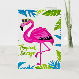 Flamenco rosa tropical de pie sobre una pierna