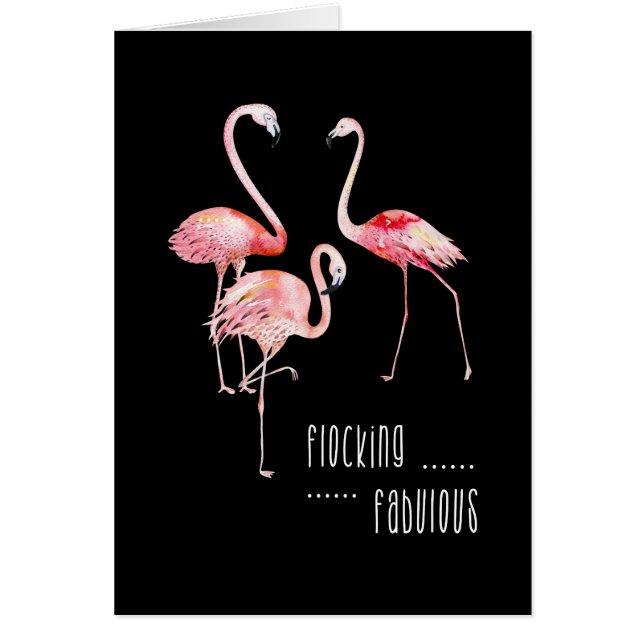 Flamencos, reuniéndose el regalo divertido (Frente)