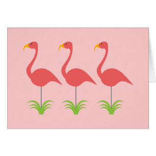 Flamencos rosados coralinos retros para cualquier