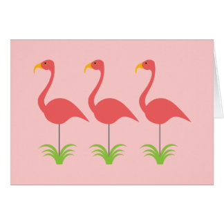 Flamencos rosados coralinos retros para cualquier