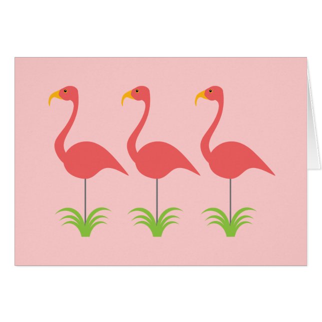 Flamencos rosados coralinos retros para cualquier (Anverso (Horizontal))
