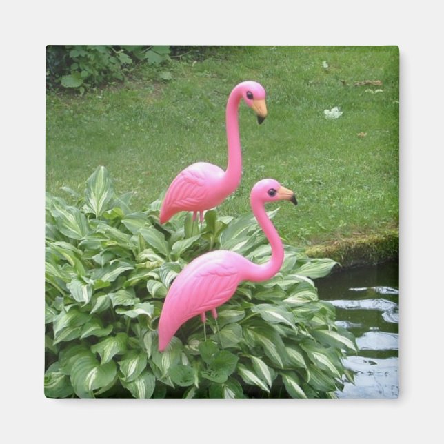 FLAMENCOS ROSAS imán (cuadrado) (Frente)