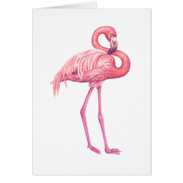 Flamingo 2 (Frente)