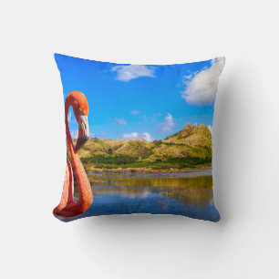 Flamingo caribeño en el cojín de St kitts