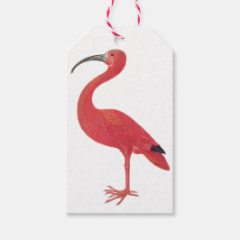 Flamingo - Etiqueta de regalo Bella Artes
