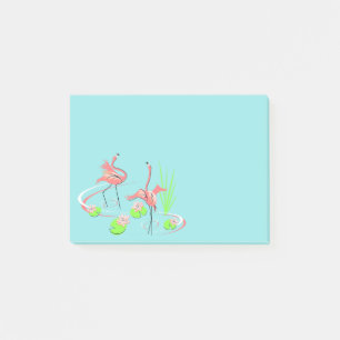 Flamingo Fandango Duo 2 nota posterior