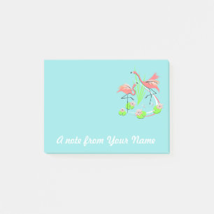 Flamingo Fandango Duo Textos nota posterior