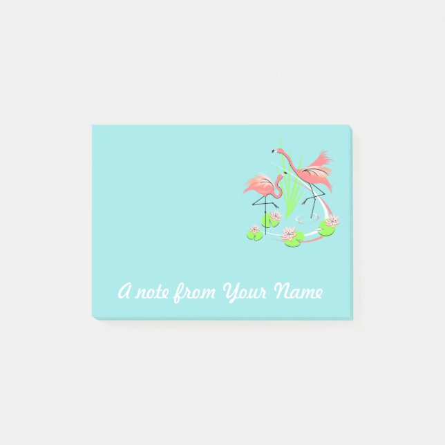 Flamingo Fandango Duo Textos nota posterior (Anverso)