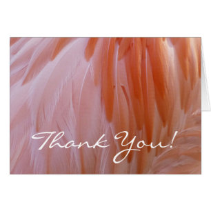 Flamingo Feathers Gracias (Blank Inside)