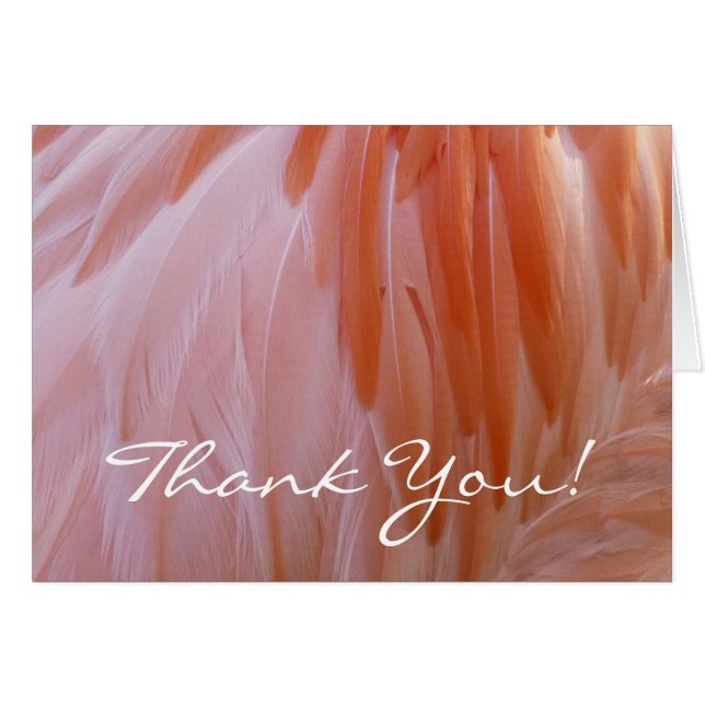 Flamingo Feathers Gracias (Blank Inside) (Anverso (Horizontal))