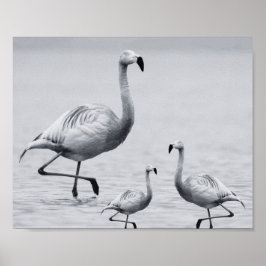 Flamingo negro y blanco: arte tropical imprimible