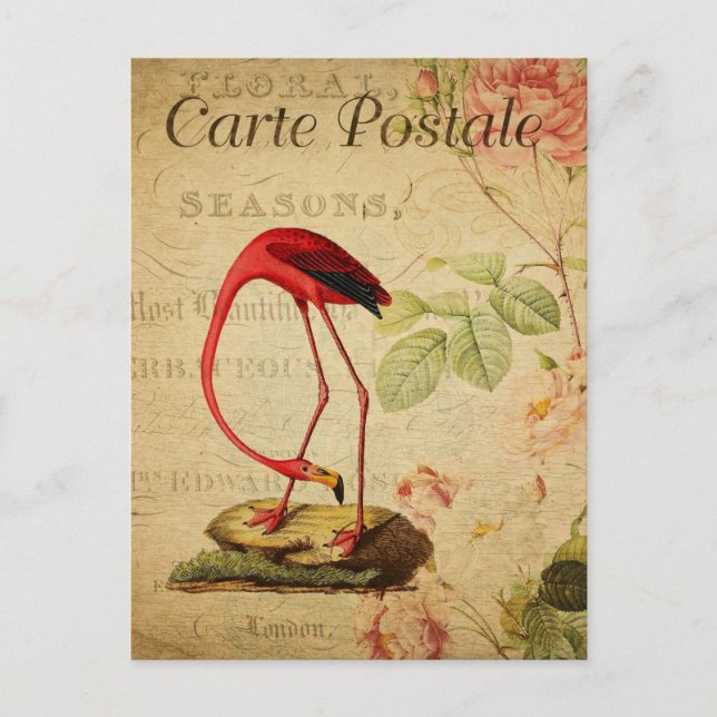 Flamingo rojo vintage Floral Carte francesa Postal (Anverso)