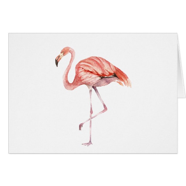 Flamingo rosa (Anverso (Horizontal))