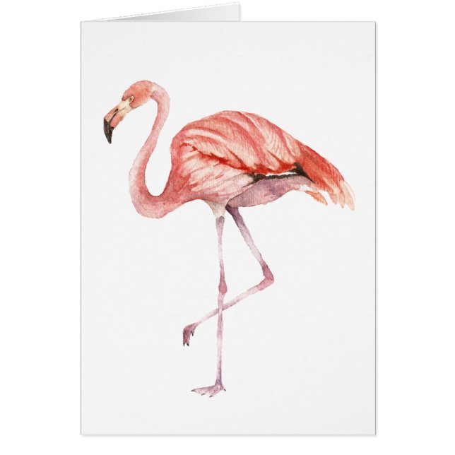 Flamingo rosa (Frente)