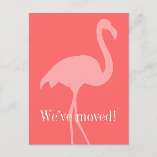 Flamingo rosa de coral moviendo postales para nuev (Anverso)