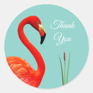 Flamingo Rosa Gracias Pegatina Circular Clásico
