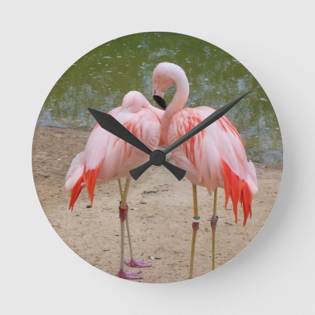flamingo rosa Reloj redondo (Anverso)