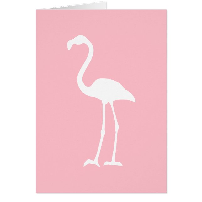 Flamingo rosa y blanco (Frente)