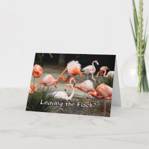 Flamingo Rosado Dejando La Tarjeta De Despedida De