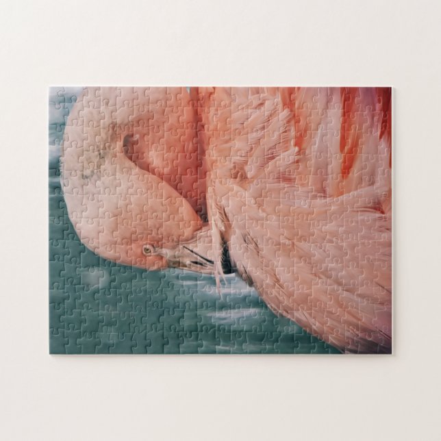 Flamingo rosado: sacude el rompecabezas (Horizontal)