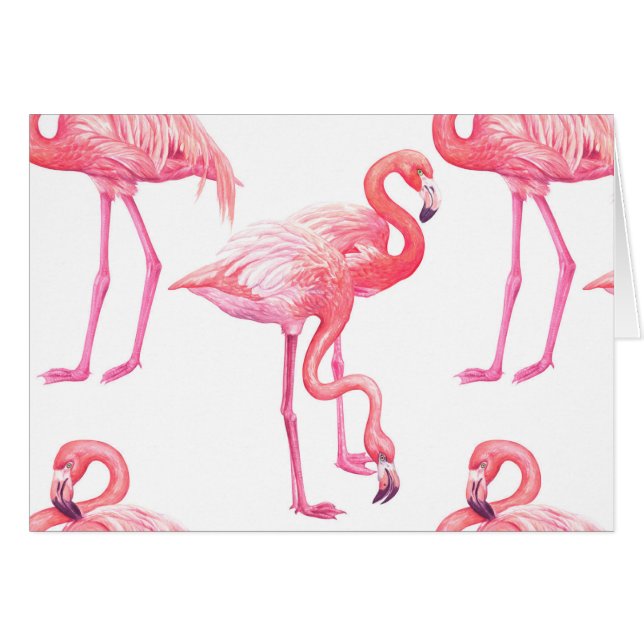 Flamingos (Anverso (Horizontal))