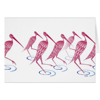 Flamingos